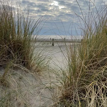 Tatil Evi Au 10 Quai Violette *