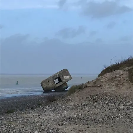 Au 10 Quai Violette *