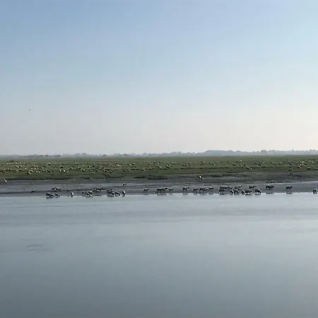 Casa vacanze Au 10 Quai Violette *