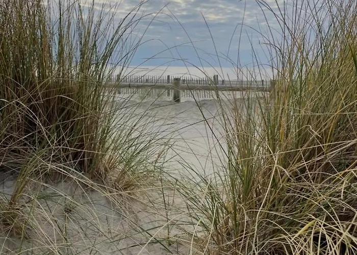 Vakantiehuis Au 10 Quai Violette *