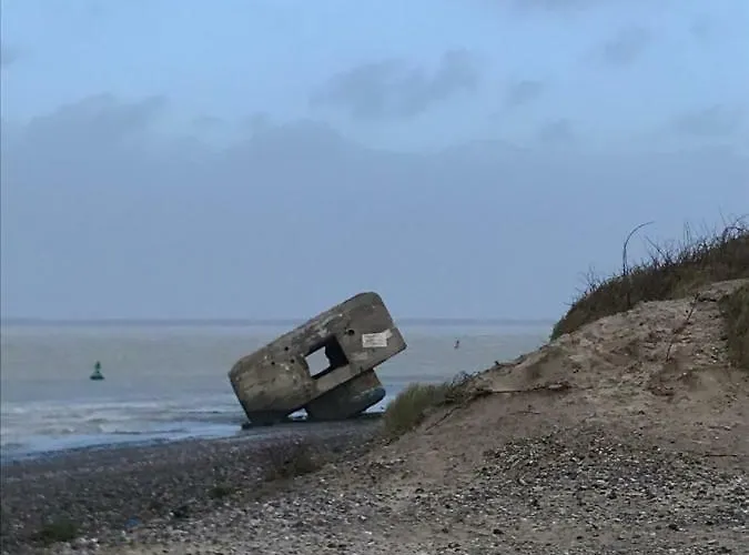 Au 10 Quai Violette *