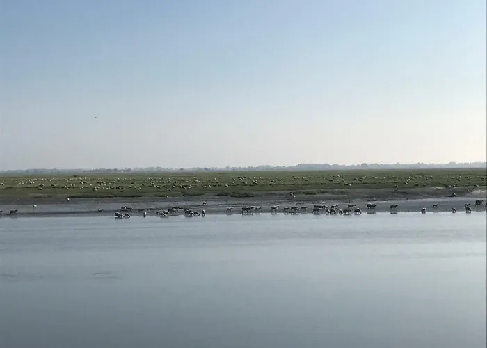 Vakantiehuis Au 10 Quai Violette *